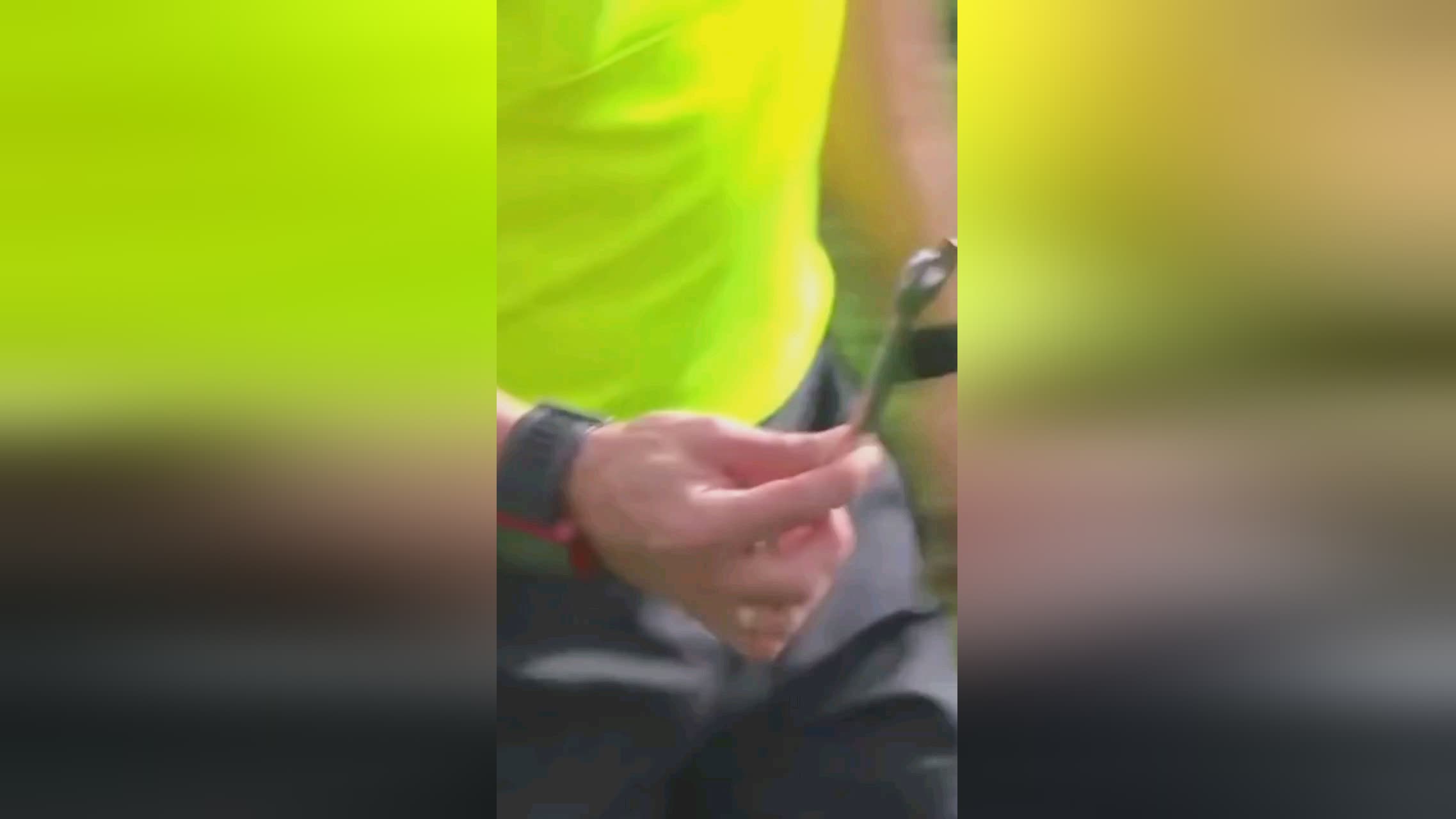 的广